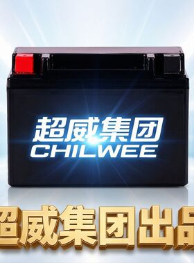 6MF9BS摩托摩枭极狐150、400MT、500R、500MG、500MS、500R电瓶池