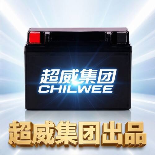 6MF9BS摩托摩枭极狐150、400MT、500R、500MG、500MS、500R电瓶池