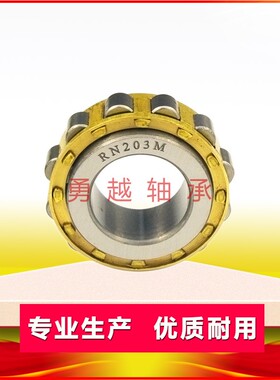 圆柱滚子轴承大全rn307 308 309 310 311 312 313 219 222 228m铜