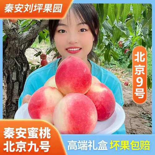 新鲜现摘甘肃秦安水蜜桃