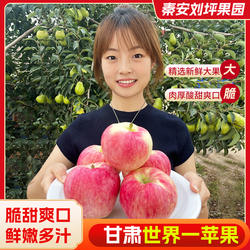 2025年甘肃世界一号苹果新鲜现摘应当季孕妇水果新苹果5/10斤整箱