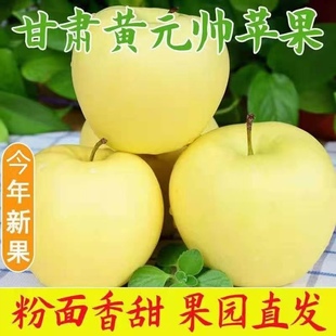 甘肃苹果黄元帅苹果水果10斤带箱粉面金帅当季新鲜黄香蕉整箱包邮