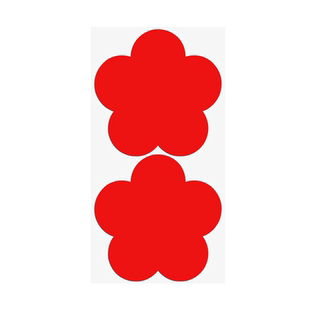 10cm特大号姓名贴儿童幼儿园花型名字标牌贴大红花不干胶贴衣服胸前记号贴纸10厘米彩色手臂贴手写标签即时贴