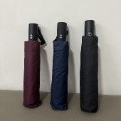 出外贸商务全自动简约折叠伞 便携男女通用10骨加固防风纯色雨伞