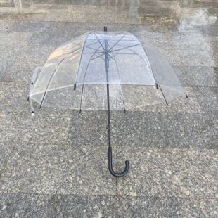创意阿波罗拱形造型 日系ins风 小清新街拍网红款 长柄自动透明伞