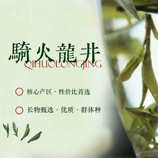 饮春光·长物四所二〇二六杭州灵隐群体种骑火龙井半手工口粮茶