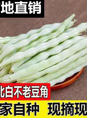 白不老豆角新鲜东北白大架豆老来少芸豆四季豆蔬菜当季包邮