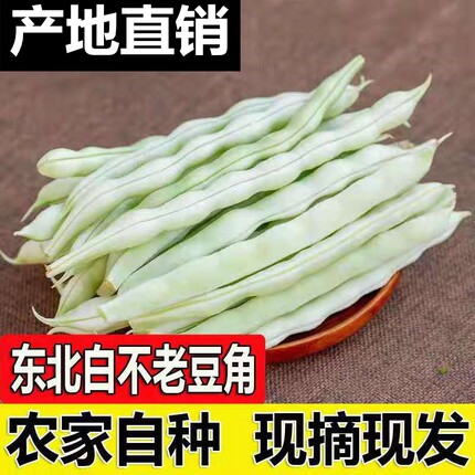 白不老豆角新鲜东北白大架豆老来少芸豆四季豆蔬菜当季包邮