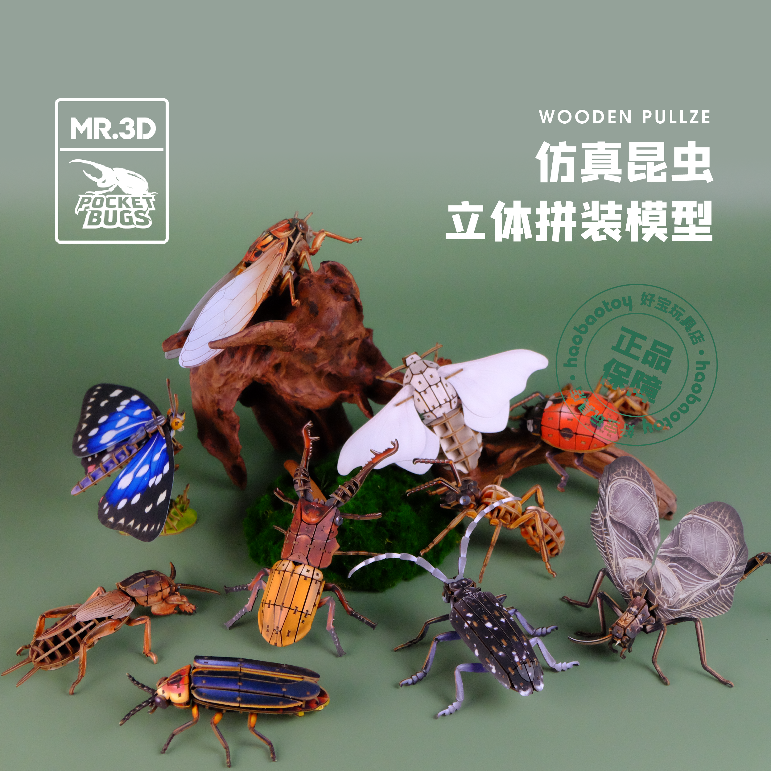 MR.3D口袋昆虫木质积木立体拼装纸质模型拼插玩具锹甲手工儿DIY