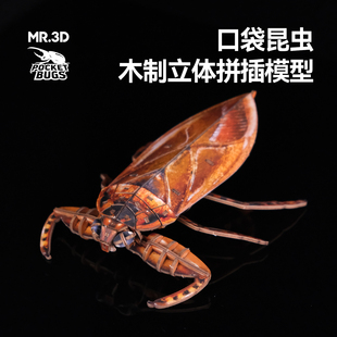 MR.3D口袋昆虫田鳖木制3D立体手工diy益智儿童拼图摆件送礼好物