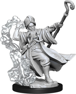 Wizkids正品 龙与地下城板件高精自拼装 角色系列FameworkMinis