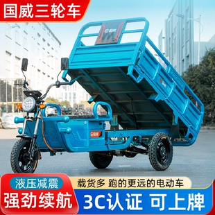 家用农用电瓶车 国威电动三轮车货车载重王成人拉货快递车摆摊新款