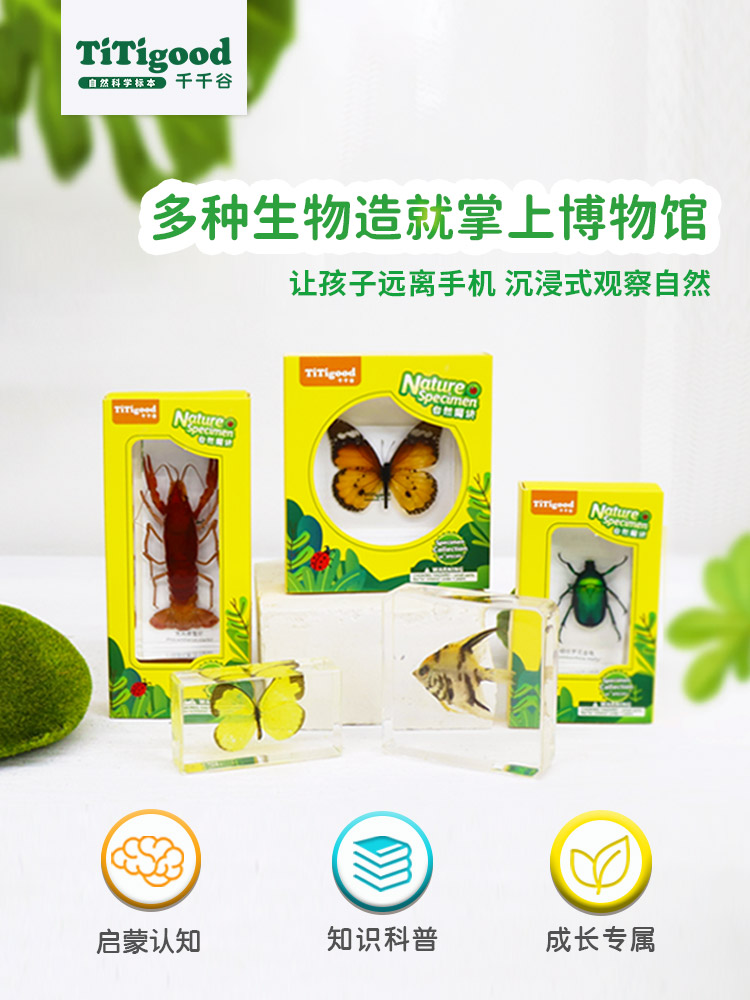 千千谷科学实验幼儿园教具启蒙