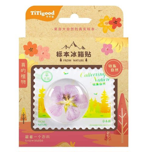 千千谷titigood标本玩具冰箱贴自然探索植物儿童益智认知树脂真实