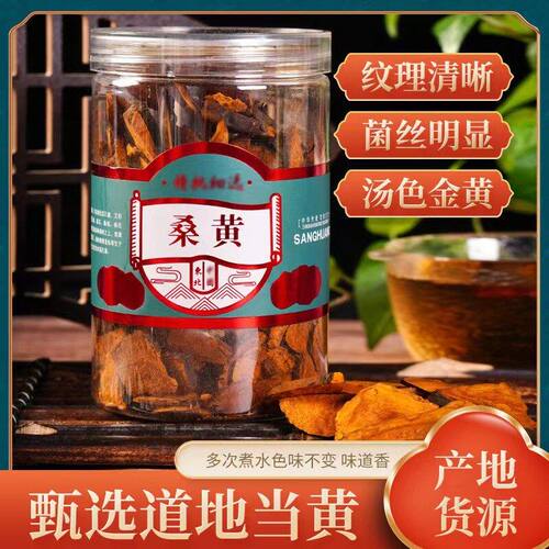 正宗桑黄中药材批发 西藏野生天然桑树桑黄罐装 瓶装各种规格一件