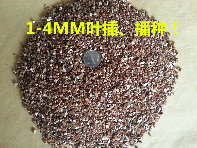 多肉植物包邮另售珍珠岩