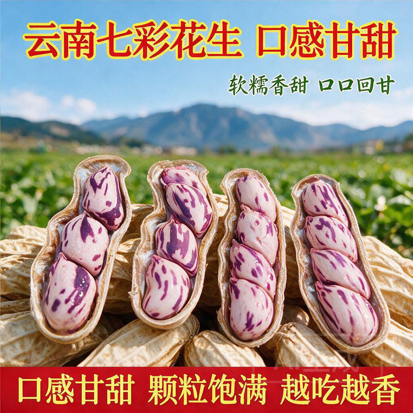 七彩花生5/10斤新货云南普洱图片