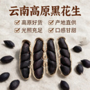 2026年新货黑花生带壳富硒黑花生晒干云南普洱黑皮花生米