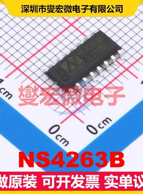 NS4263B SOP-16 音频放大器芯片IC