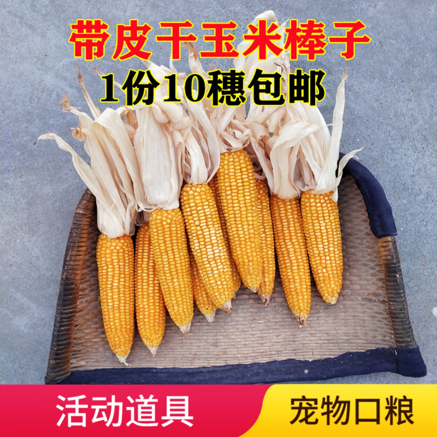 干玉米棒10穗老玉米棒子新货玉米棒干穗整根宠物磨牙活动道具装饰