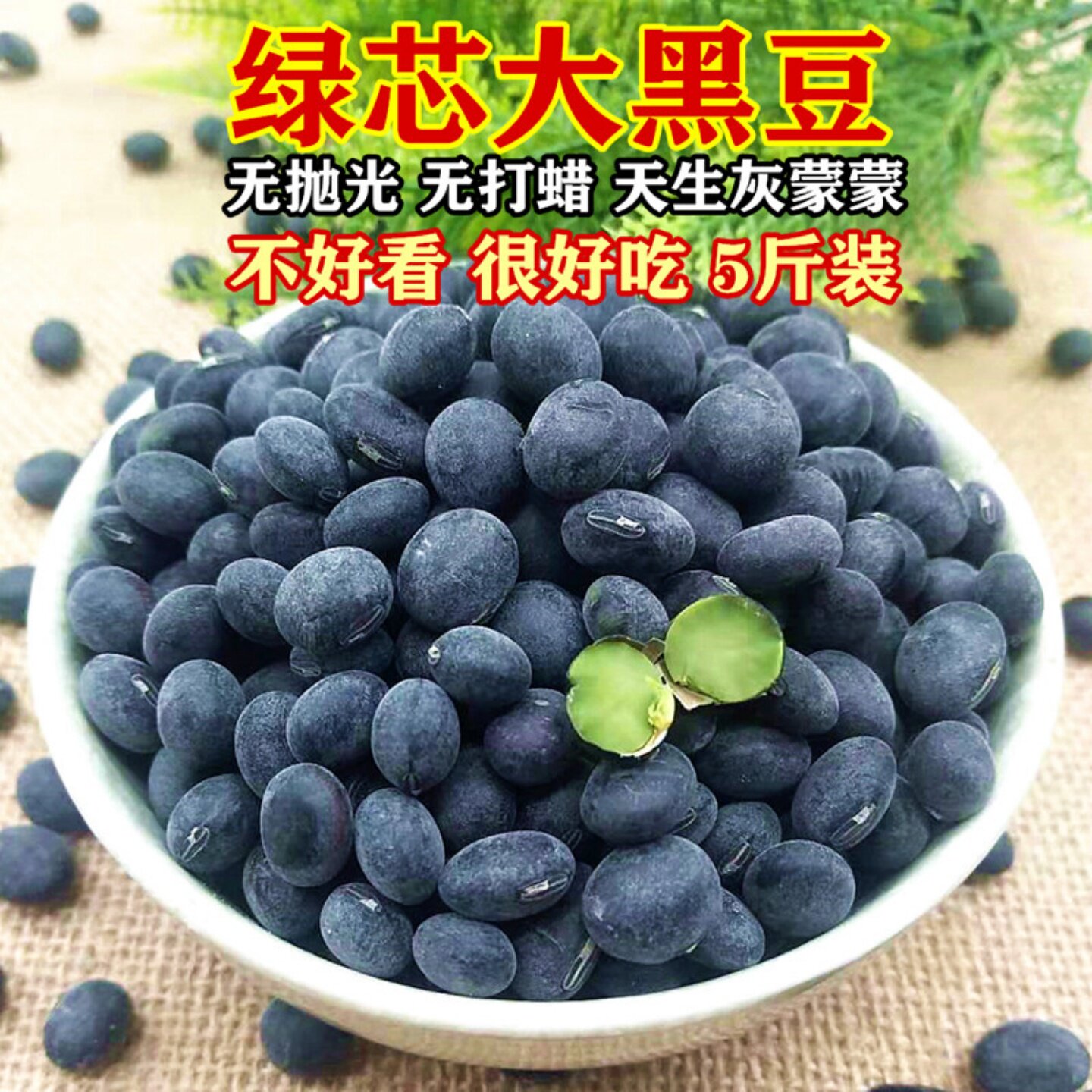 绿心黑豆大黑豆苏北农家自产青仁黑豆醋黑豆乌皮绿芯黑豆5斤包邮