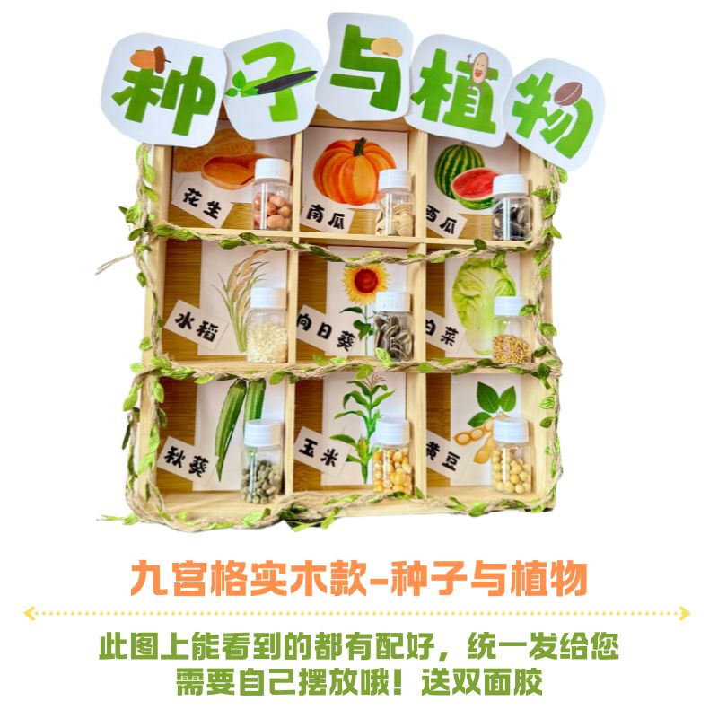 种子标本展示植物博物馆实木框架真实彩色diy幼儿园科普教学教具