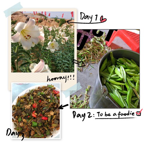 新江西万载白水百合花干每包1两食用百合花干泡茶纯天然食品 - 封面