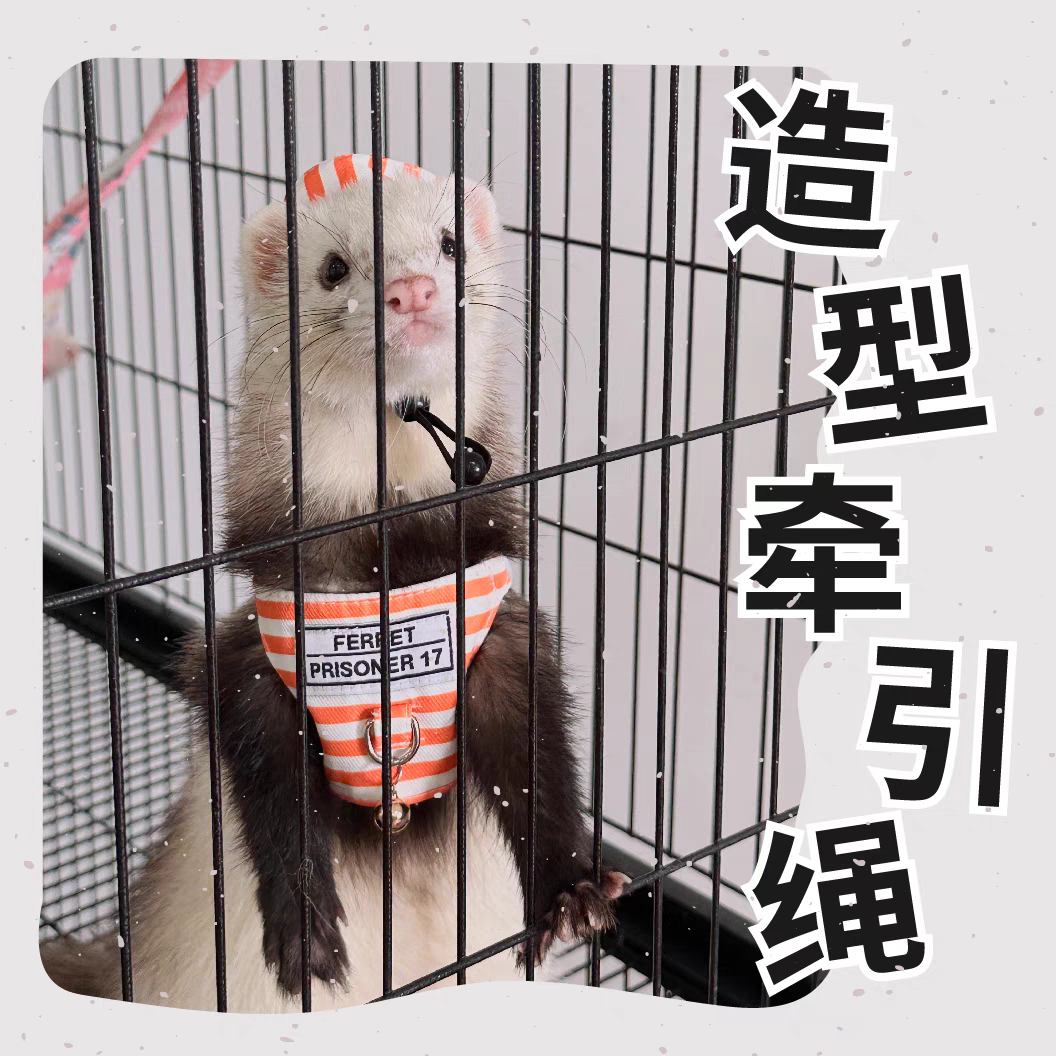 偷心犯人服牵引绳帽子一体式遛貂链子遛狐獴龙猫兔子制服劳改犯服