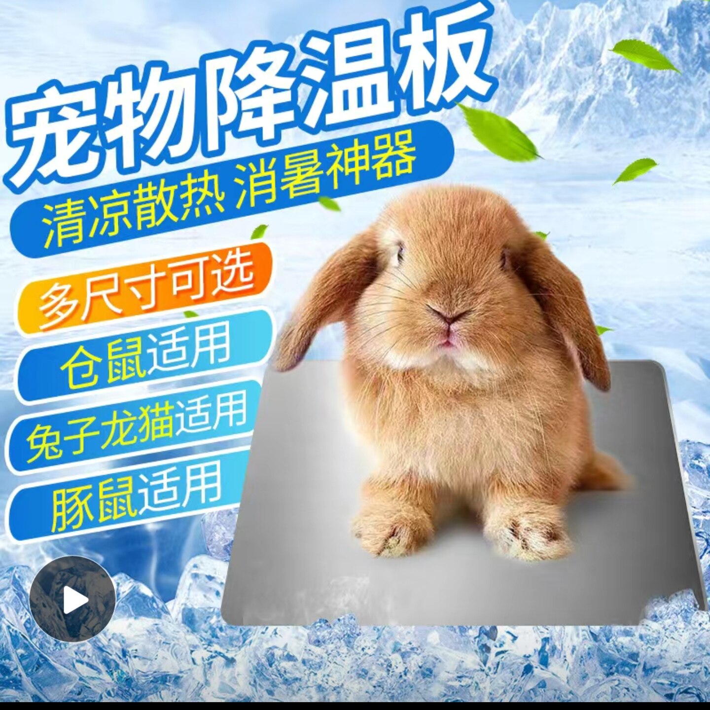 星姐龙猫特大号龙猫小兔豚鼠压花散热板冰床凉席兔子龙猫消暑板