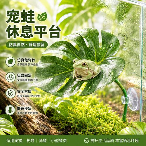 树蛙角蛙树叶林蛙宠物蛙休息平台仿真龟背竹仿真叶爬宠造景缸装饰