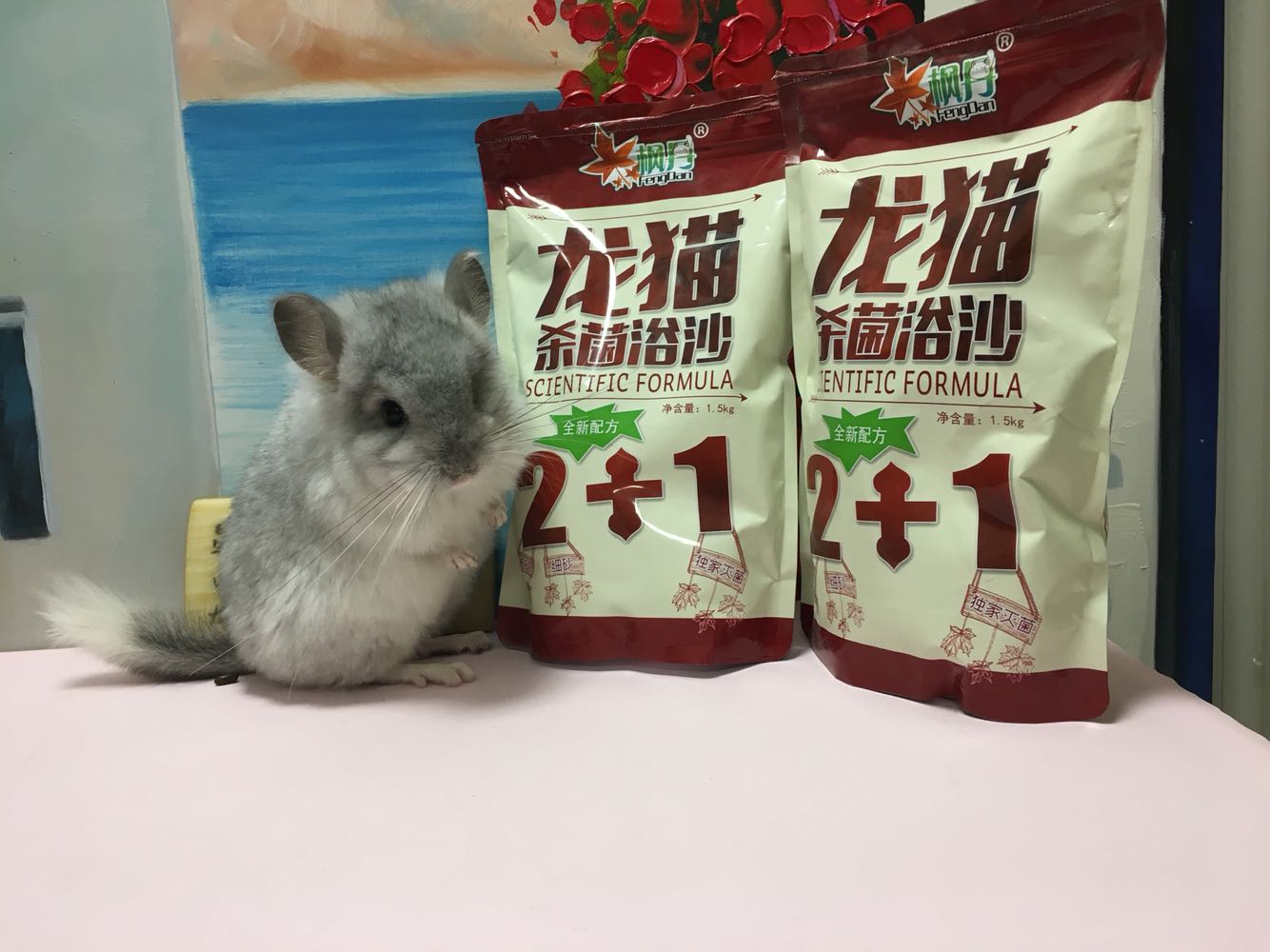 星姐龙猫枫丹龙猫浴沙1.5kg杀菌洗澡沙针对皮肤疾病