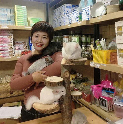 星姐龙猫活体活物幼崽纯白