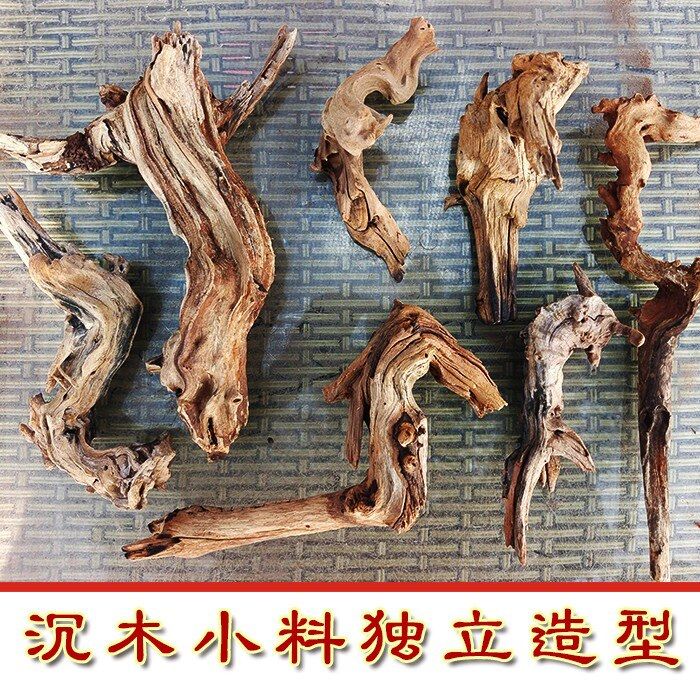 沉木紫柚木树桩爬宠造景微景观