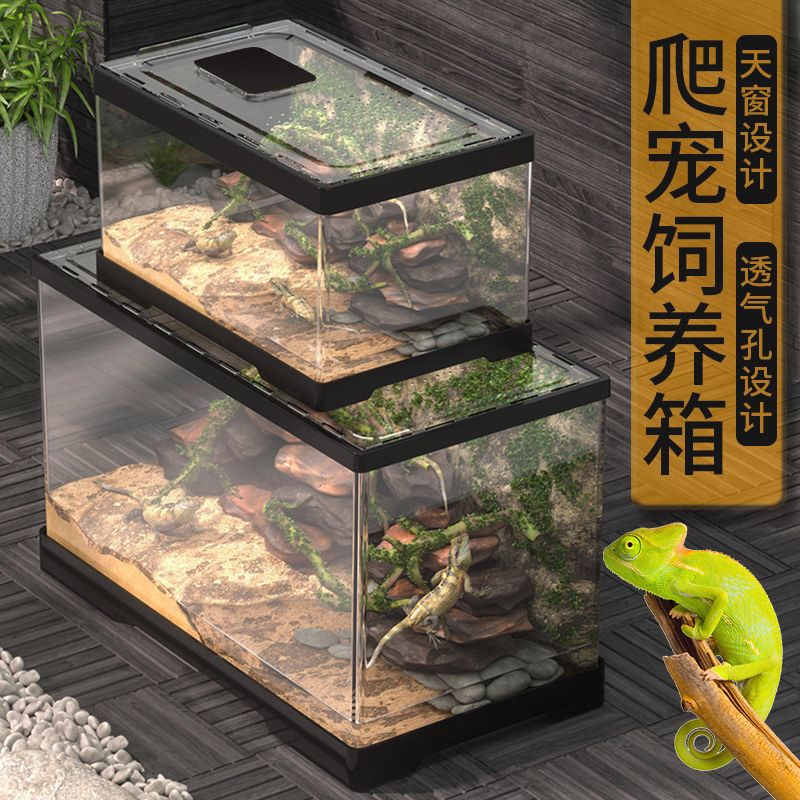 爬宠饲养箱守宫蜥蜴角蛙蛇饲养盒亚克力塑料超大爬虫寄居蟹乌龟缸