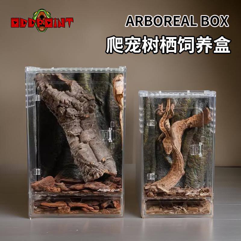高透爬虫树栖沙漠生态饲养箱