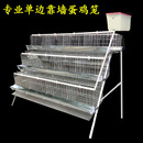 加粗单边鸡笼蛋鸡笼母鸡笼家用自动滚蛋鸡笼三层蛋鸡笼子养殖整套