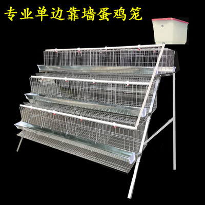 母鸡蛋鸡笼鹏实鸡笼加粗家用养殖
