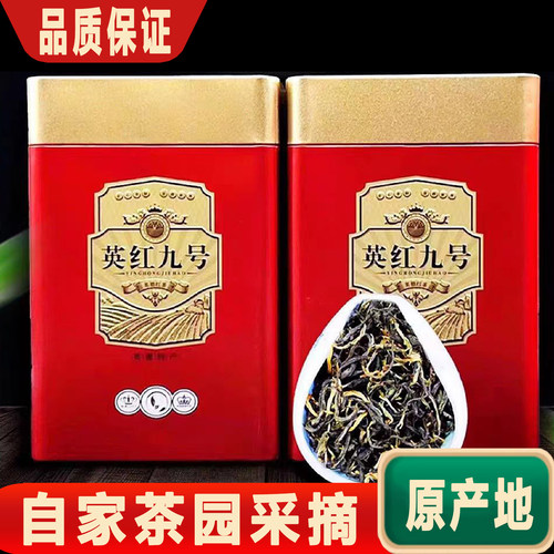 英红九号英德红茶罐装春茶红茶叶