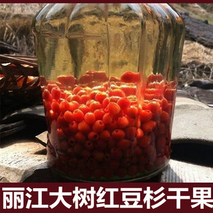 云南丽江高海拔大树红豆杉果子果实干货500克中草药材一斤装 包邮