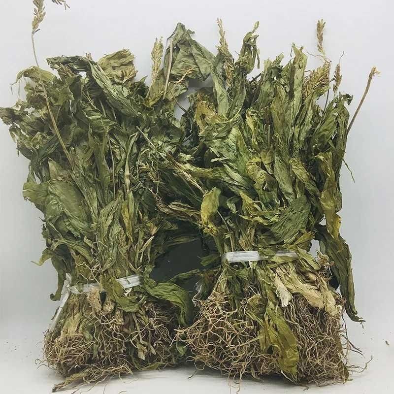 云南见血清草药中药材干货中药材见血清正宗立地好羊耳蒜包邮