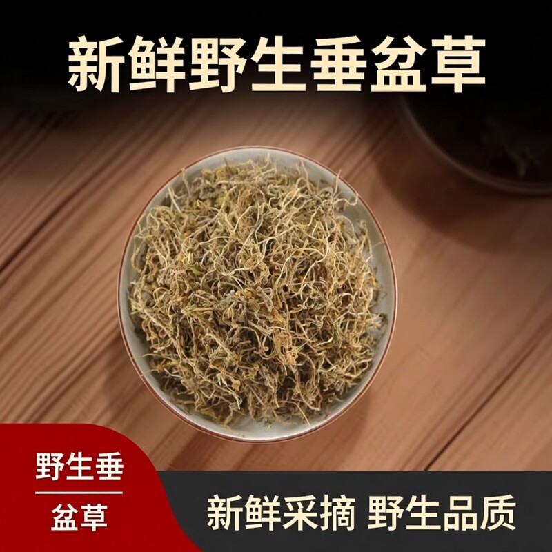 云南垂盆草新鲜干货500g新货泡水野生垂盆草锤盆草药材狗牙草