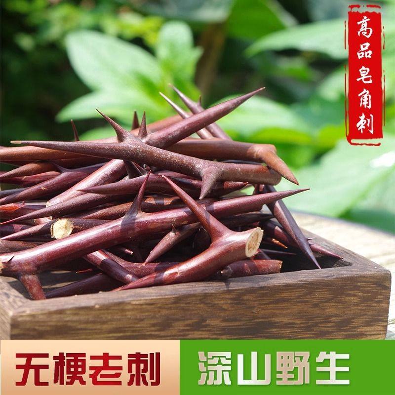 云南野生皂角刺皂荚刺皂针手工纯刺棍刺天丁棍刺皂针皂刺