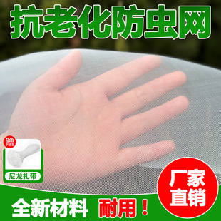 防虫网窗纱网防蚊子苍蝇大棚果树农用院子养殖场防蚊网纱窗网加密