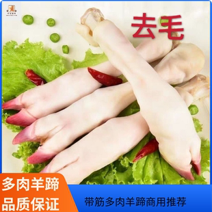 羊蹄新鲜冷冻去毛羊蹄 商用生羊蹄 羊脚免洗羊蹄带筋羊蹄商用批发