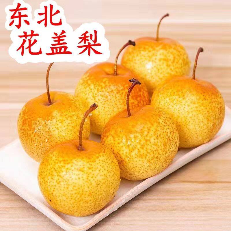 酸甜梨鞍山南果梨薄皮