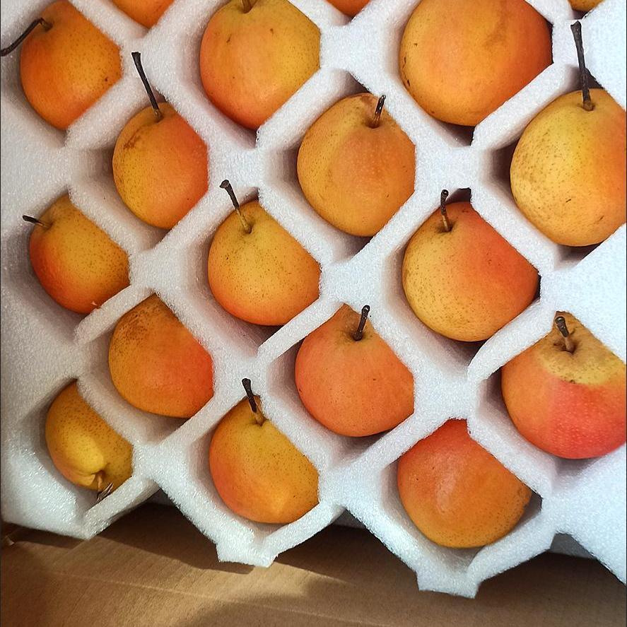 辽宁鞍山海城南果梨南国梨子自家酒香孕妇水果家庭经济装新鲜包邮