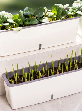 长方形窄花盆阳台种菜盆长条蔬菜种植专用箱窗台草莓花槽懒人神器
