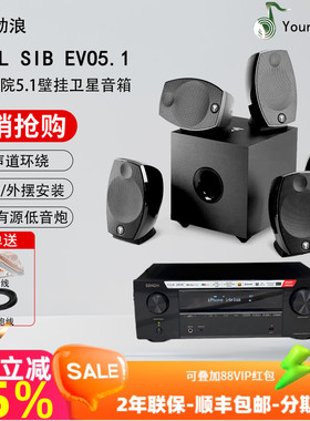 劲浪FOCAL SIB EVO5.1 家庭影院环绕壁挂卫星音箱小型音响低音炮