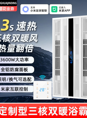 无照明不带主灯三核浴霸集成吊风暖换气嵌入式卫生间双暖风机3060
