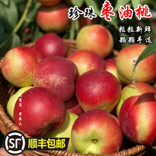 2026头茬珍珠枣油桃枣蜜桃枣味白肉小油桃子酸甜现摘新鲜水果顺丰